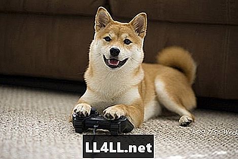 10 של כלבי משחק וידאו הטוב ביותר