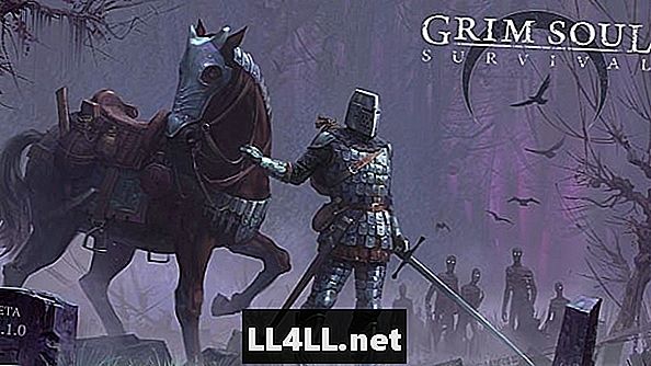 Grim Soul & Colon pradedantiesiems skirtas vadovas; Dark Fantasy Adventure