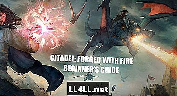Citadel og tykktarm; Smidd med brann - Nivå 1 ~ 20 Beginners Tips Guide