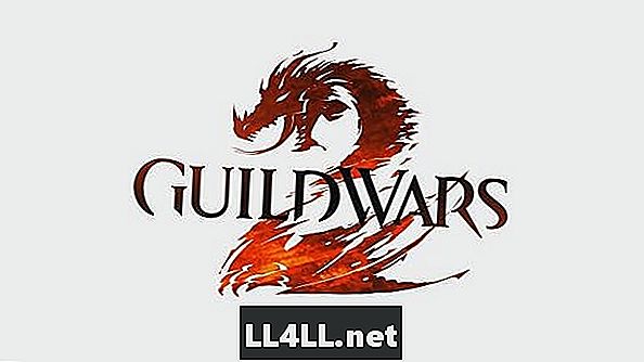 Podrobnosti o turnajích nadcházejícího Guild Wars 2 PvP
