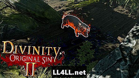 Divinity Original Sin 2 & colon; Керівництво для спалювання свиней