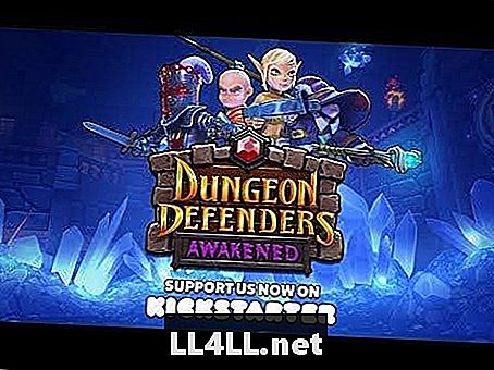 Dungeon Defenders våknet nå på KickStarter