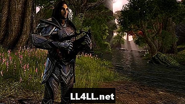 Elder Scrolls Online Launches bez přístupu k účtu a hledání;