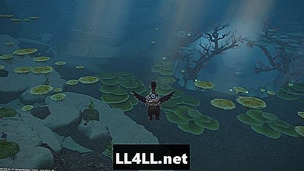 FFXIV Stormblood Guide & Doppelpunkt; Tauchen unter Wasser