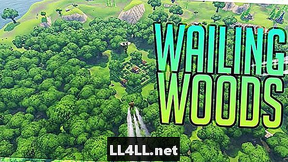 Fortniten karttaopas ja kaksoispiste; Wailing Woodsin rintapaikat