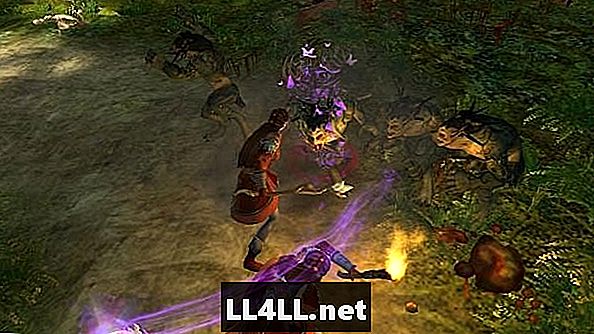 Guild Wars 2 Daily Slay & tlustého střeva; Troll Slayer