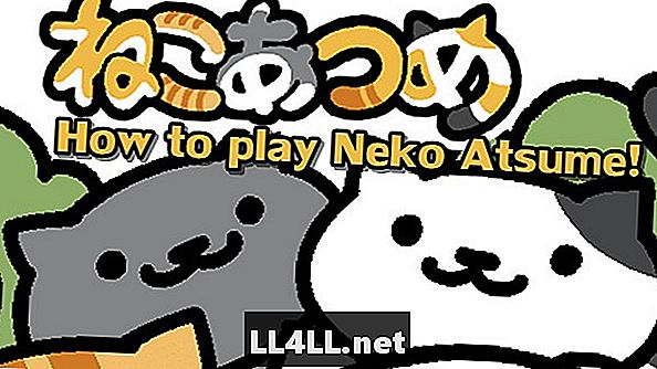 Slik spiller du Neko Atsume uten japansk kunnskap