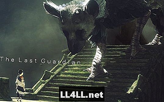 Er The Last Guardian på Hiatus & quest;