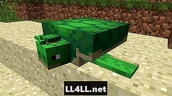 Minecraft posodabljanje vodnih želv