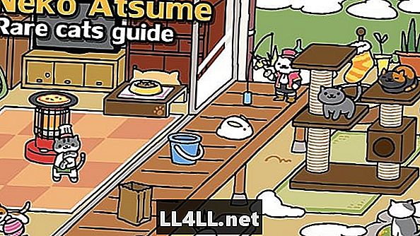 Vodič za rijetke mačke Neko Atsume - sakupite one mačke & excl;