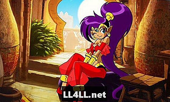 Shantae & colon; Half-Genie Hero wordt halverwege gefinancierd in slechts vier dagen - Spellen