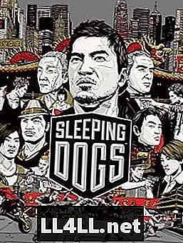 Sleeping Dogs & colon; La revue