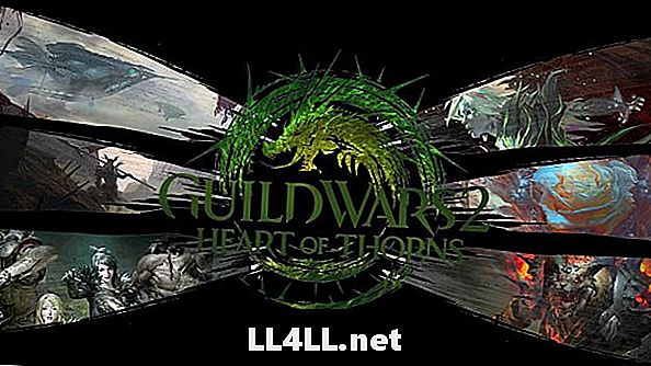 „Guild Wars 2“ ir „dvitaškis“ būklė; žaidimas ant krašto