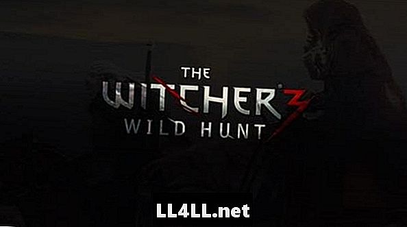 „Witcher 3“ ir dvitaškis; Laukinė medžioklė atidėta iki 2015 m. Vasario mėn