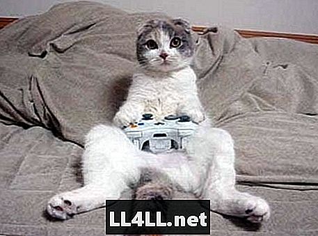 Top 10 videogames over katten