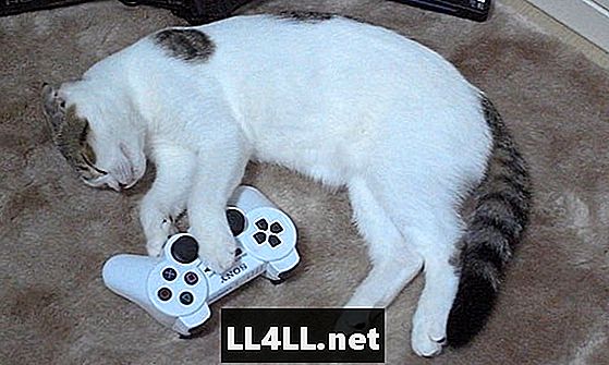Top 12 største katte af videospil - Spil