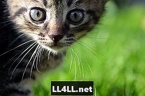 Κορυφαία 5 Απόκριες Παιχνίδια για Scaredy Cats